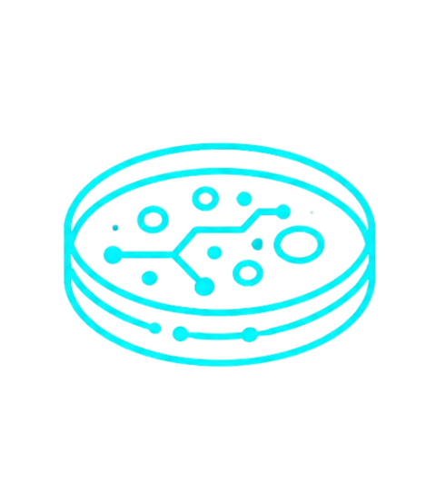 bacteriología